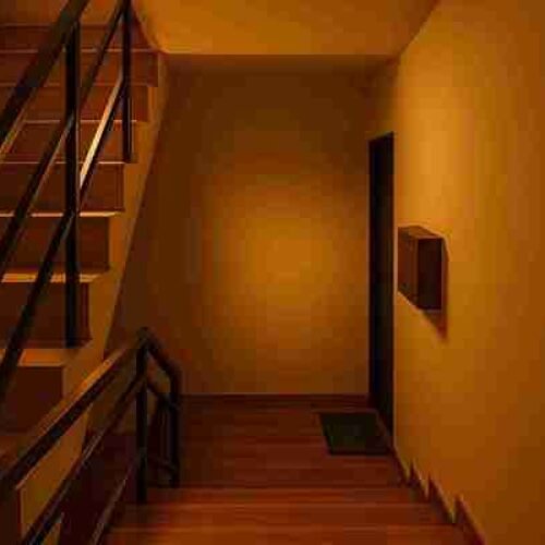 1BHK Apartment with Kitchen